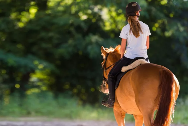 Randonnées équestres sous le soleil : comment préparer vos chevaux pour une aventure estivale réussie ?