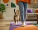 Un chat curieux illustrant le comportement du chat